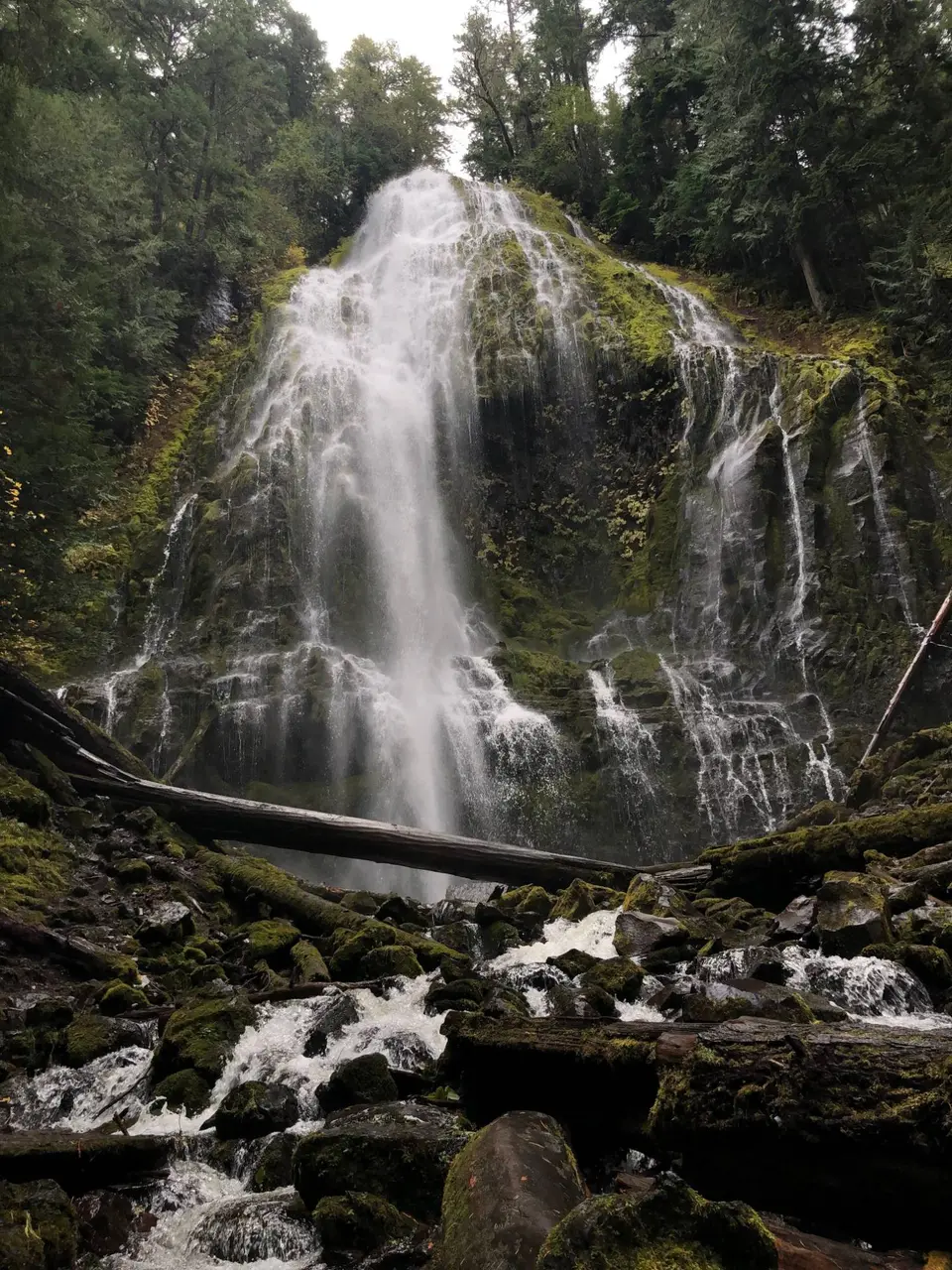Waterfall cascading over mossy basalt in an Oregon forest